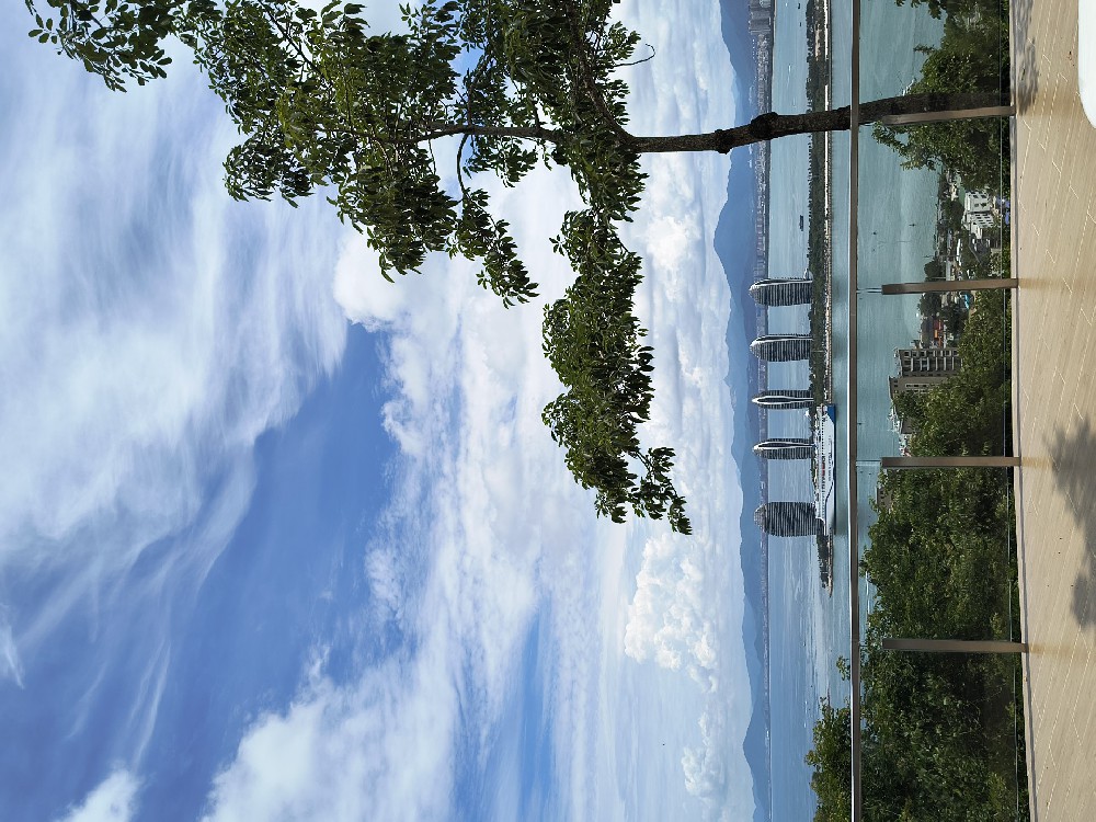 IMG_20250815_130722613_HDR.jpg